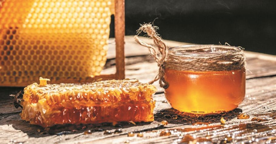 WhatsApp Image 2025-11-02 at 11.46.27 PM